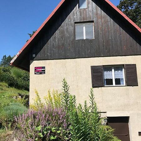 Chata U Koupaliste Chřibská Exteriör bild