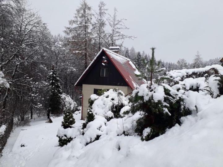 Chata U Koupaliste Chřibská Exteriör bild