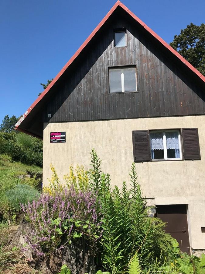 Chata U Koupaliste Chřibská Exteriör bild